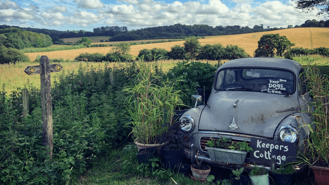 winner of photography competition, old car in the middle of green fields